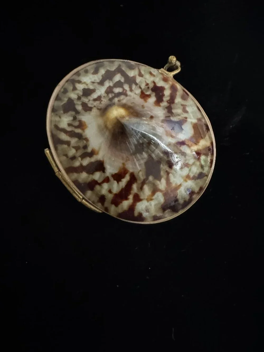 Shell trinket box with brass rim